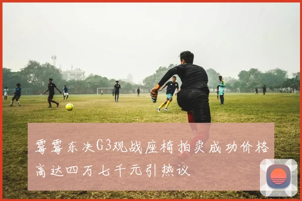 霉霉东决G3观战座椅拍卖成功价格高达四万七千元引热议