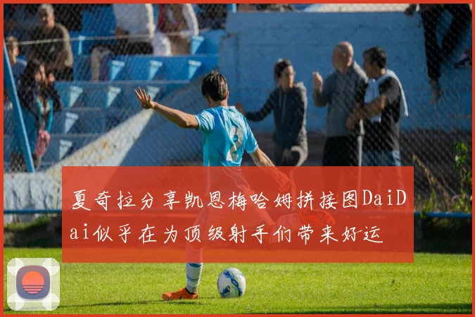 夏奇拉分享凯恩梅哈姆拼接图DaiDai似乎在为顶级射手们带来好运